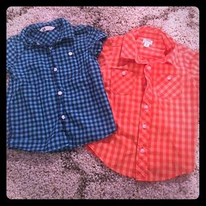 Toddler Boys Button Downs